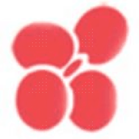 logo_chh